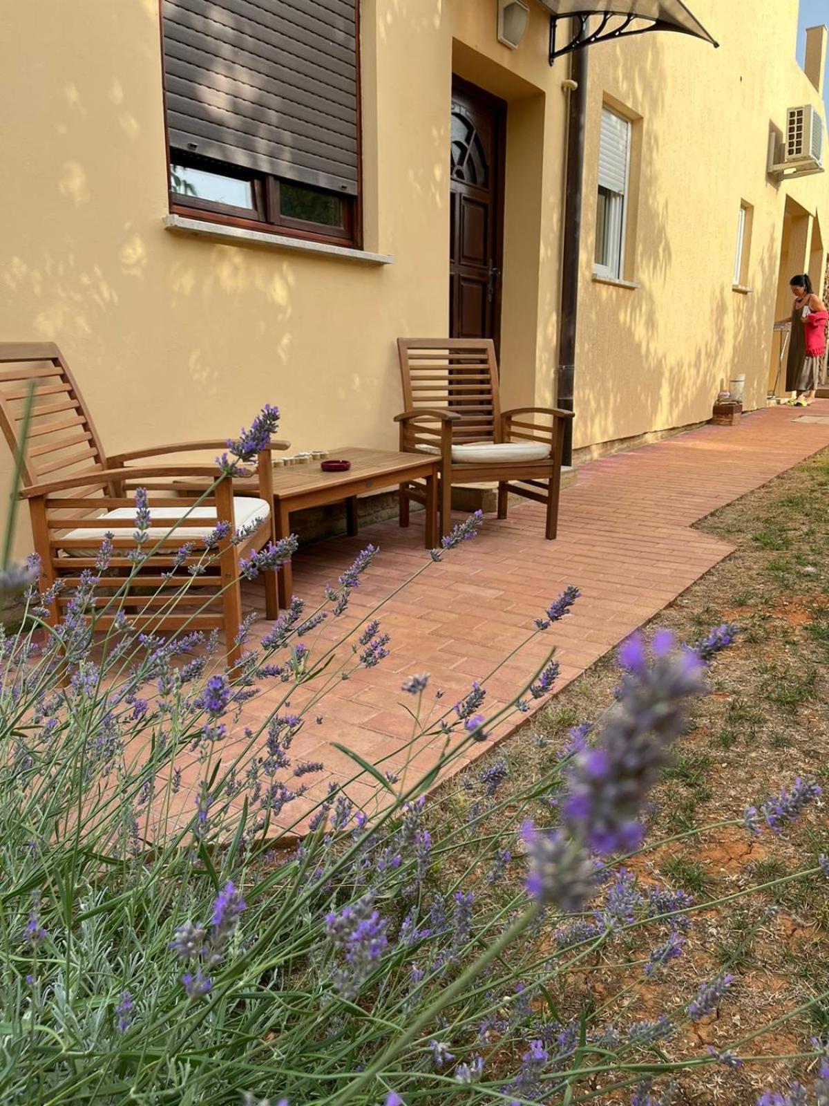 Studio Apartman San 3 Ližnjan Rom bilde